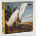 Snowy Egret by Audubon 1000 Piece Jigsaw Puzzle teNeues - for just $20.99! 