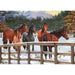 Snowy Pasture 35 Piece Tray Jigsaw Puzzle Cobble Hill - for just $9.99! 