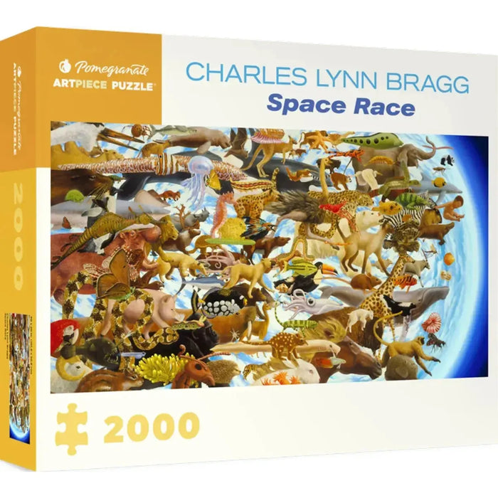 Space Race 2000 Piece Panoramic Jigsaw Puzzle Pomegranate - for just $39.99! 