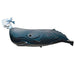 Sperm Whale 3D Cardboard Model Kit Eugy - for just $11.99! 