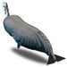 Sperm Whale 3D Cardboard Model Kit Eugy - for just $11.99! 