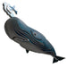 Sperm Whale 3D Cardboard Model Kit Eugy - for just $11.99! 