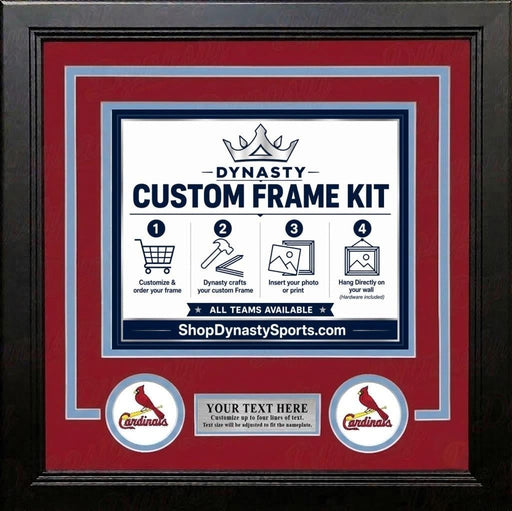 St. Louis Cardinals Custom MLB Baseball 16x20 Picture Frame Kit (Multiple Colors) - for just $62.99! 