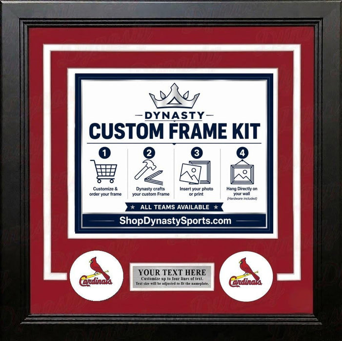 St. Louis Cardinals Custom MLB Baseball 16x20 Picture Frame Kit (Multiple Colors) - for just $62.99! 