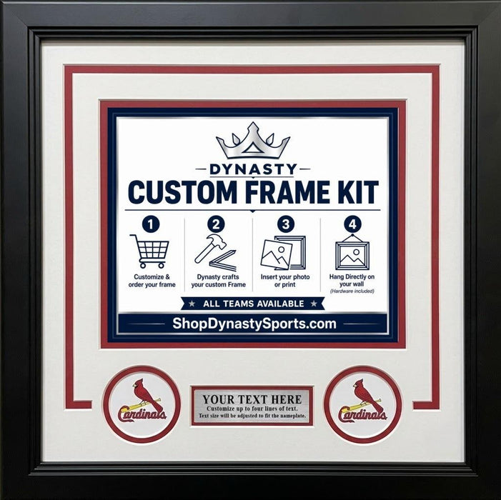 St. Louis Cardinals Custom MLB Baseball 16x20 Picture Frame Kit (Multiple Colors) - for just $62.99! 