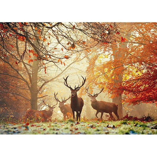 Stags Magic Forests 1000 Piece Jigsaw Puzzle Heye - for just $29.99! 