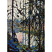 Study for Northern River by Tom Thomson 1000 Piece Jigsaw Puzzle Eurographics - for just $21.99! 