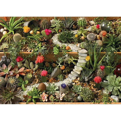 Succulent Garden 1000 Piece Jigsaw Puzzle Cobble Hill - for just $19.99! 