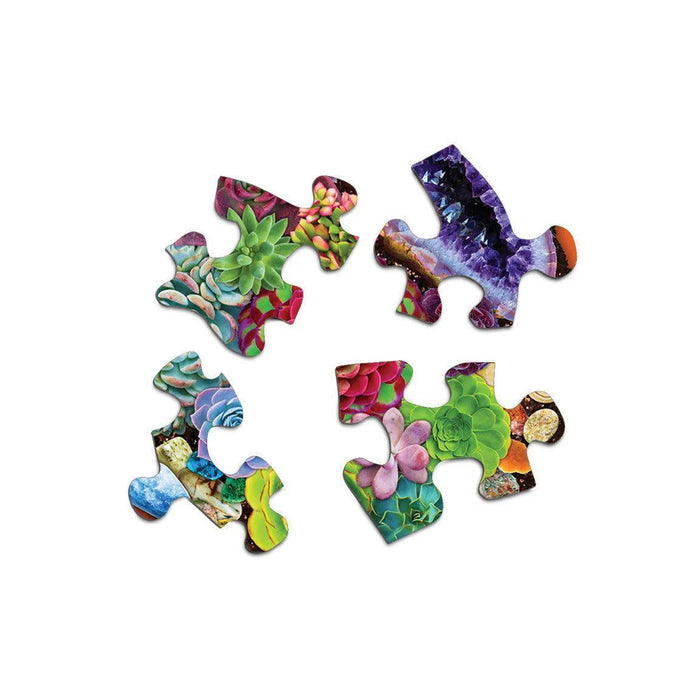 Succulent Garden 500 Piece Jigsaw Puzzle Springbok - for just $17.99! 