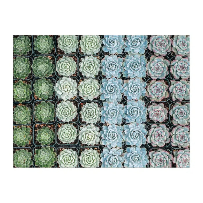 Succulent Garden Double-Sided 500 Piece Jigsaw Puzzle Galison - for just $17.99! 