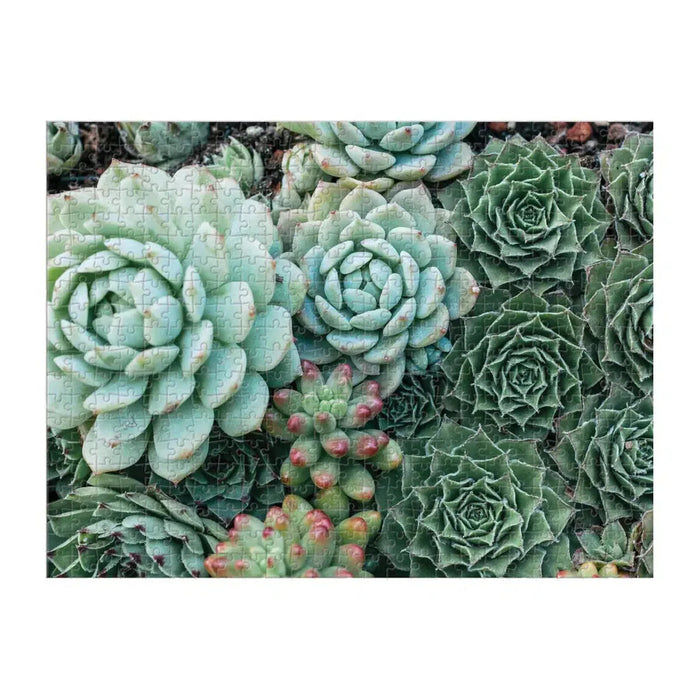 Succulent Garden Double-Sided 500 Piece Jigsaw Puzzle Galison - for just $17.99! 