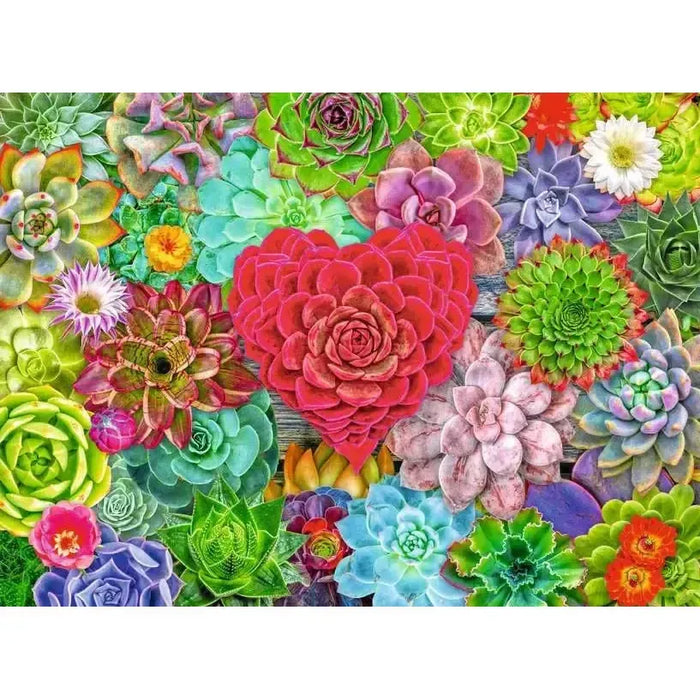 Succulent Love 500 Piece Jigsaw Puzzle Ravensburger - for just $19.99! 