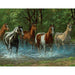 Summer Creek 500 Piece Jigsaw Puzzle Springbok - for just $17.99! 