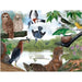 Summer Trail 1000 Piece Jigsaw Puzzle NYPC - for just $28.99! 