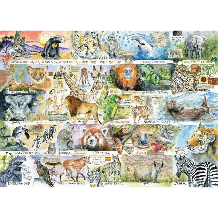 Sun Bears & Sloths 1000 Piece Jigsaw Puzzle Gibsons - for just $24.99! 