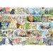 Sun Bears & Sloths 1000 Piece Jigsaw Puzzle Gibsons - for just $24.99! 