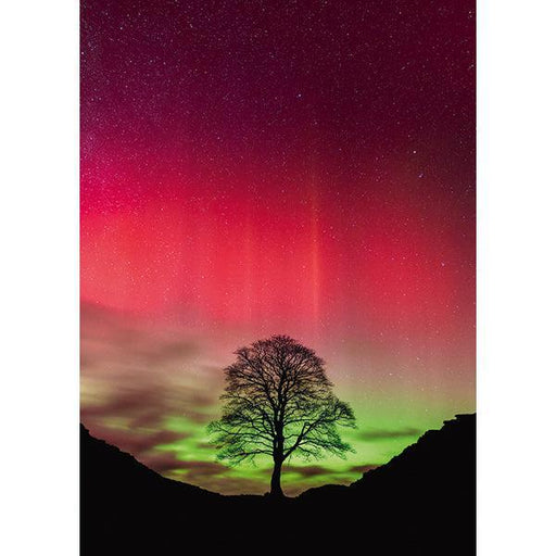Sycamore Gap Power of Nature 1000 Piece Jigsaw Puzzle Heye - for just $29.99! 