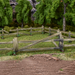 Terrain Crate: Fences - for just $9.99! 