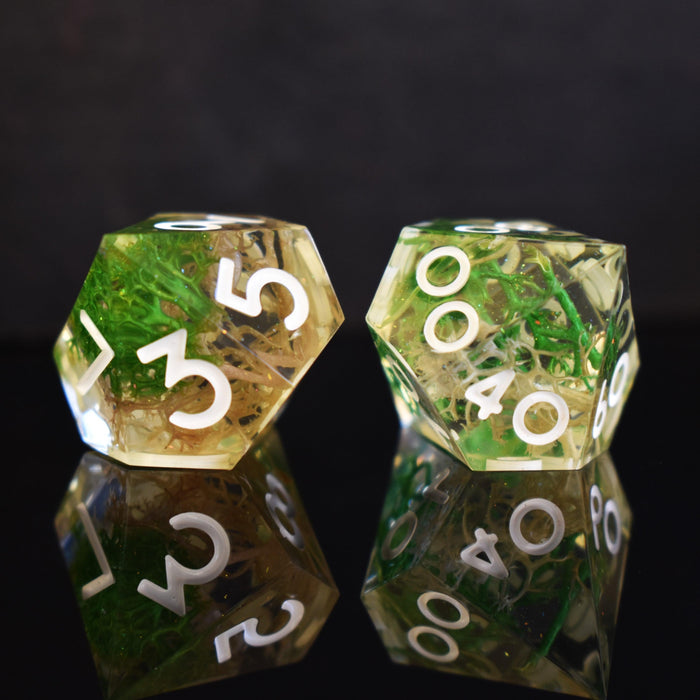 Thorn Whip Sharp-Edged Resin Dice Set - Just $39.99! Shop now at Retro Gaming of Denver