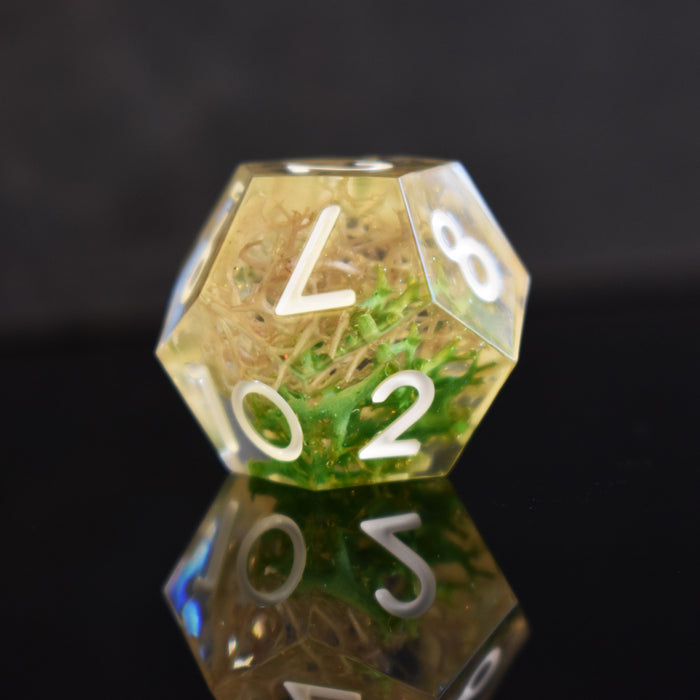 Thorn Whip Sharp-Edged Resin Dice Set - Just $39.99! Shop now at Retro Gaming of Denver