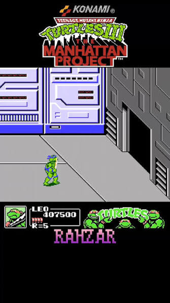 TMNT 3 NES Video Game Cartidge Nintendo Entertainment System - for just $39.99! 