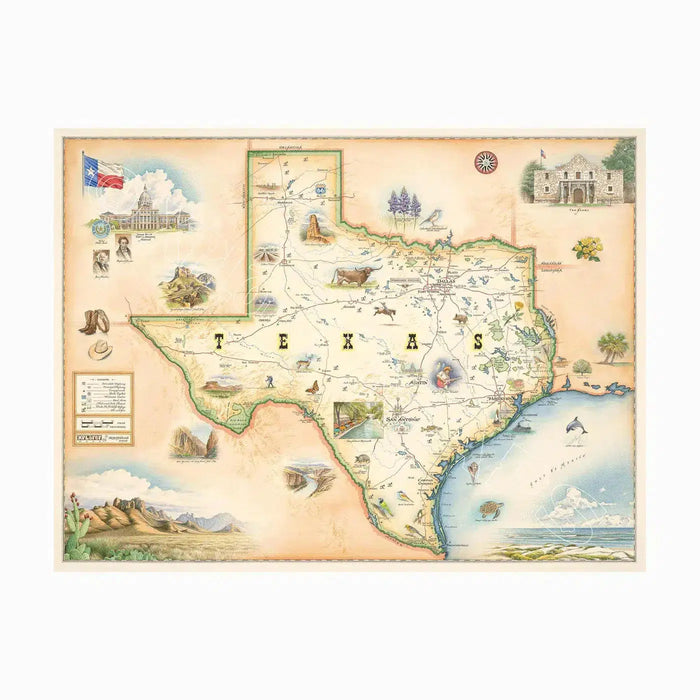 Texas State 1000 Piece Jigsaw Puzzle Xplorer Maps - for just $24.99! 