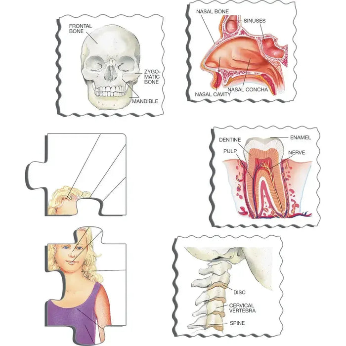 The Body 35 Piece Tray Jigsaw Puzzle Larsen - for just $11.99! 