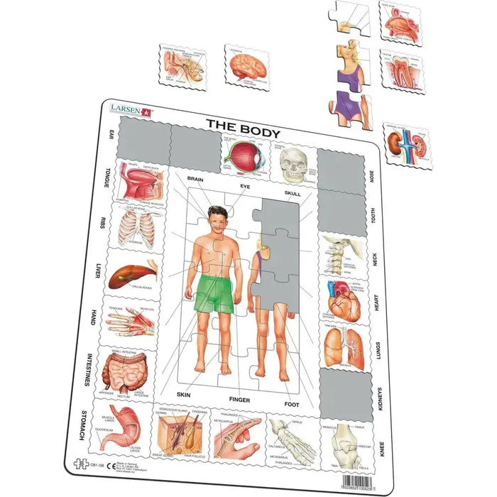 The Body 35 Piece Tray Jigsaw Puzzle Larsen - for just $11.99! 
