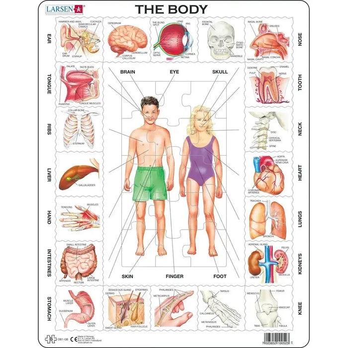 The Body 35 Piece Tray Jigsaw Puzzle Larsen - for just $11.99! 
