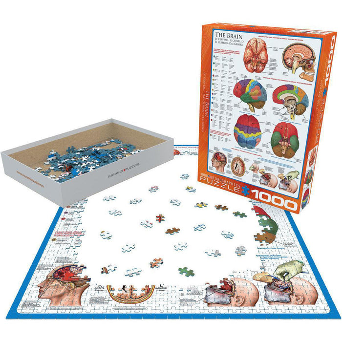 The Brain 1000 Piece Jigsaw Puzzle Eurographics - for just $19.99! 