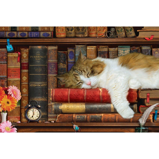 The Cat Nap 1000 Piece Jigsaw Puzzle in Tin Eurographics - for just $23.99! 