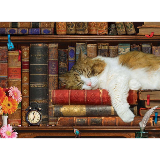 The Cat Nap 500 Piece Jigsaw Puzzle Eurographics - for just $17.99! 
