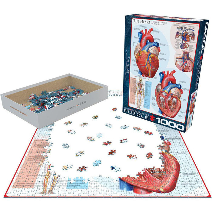 The Heart 1000 Piece Jigsaw Puzzle Eurographics - for just $19.99! 