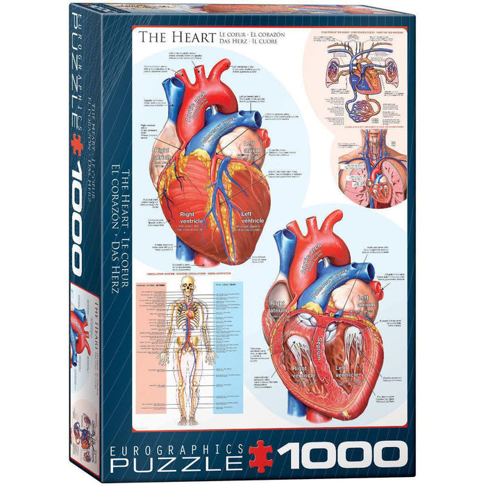 The Heart 1000 Piece Jigsaw Puzzle Eurographics - for just $19.99! 