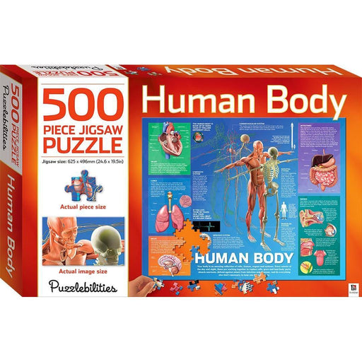 The Human Body 500 Piece Jigsaw Puzzle Hinkler - for just $19.99! 