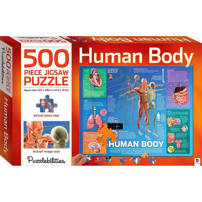 The Human Body 500 Piece Jigsaw Puzzle Hinkler - for just $19.99! 