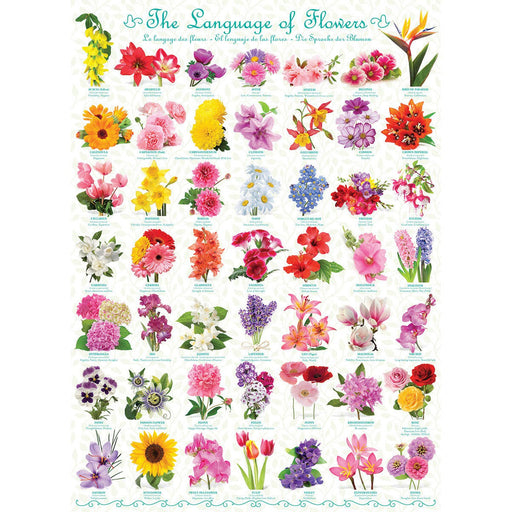 The Language of Flowers 1000 Piece Jigsaw Puzzle Eurographics - for just $19.99! 