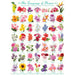 The Language of Flowers 1000 Piece Jigsaw Puzzle Eurographics - for just $19.99! 
