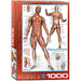 The Muscular System 1000 Piece Jigsaw Puzzle Eurographics - for just $19.99! 
