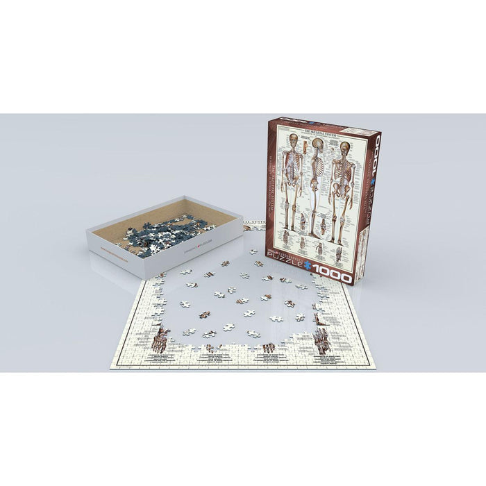 The Skeletal System 1000 Piece Jigsaw Puzzle Eurographics - for just $21.99! 