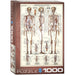 The Skeletal System 1000 Piece Jigsaw Puzzle Eurographics - for just $21.99! 