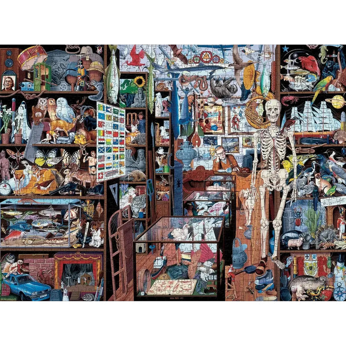 The Ultimate Alphabet: The Letter S 1000 Piece Jigsaw Puzzle Pomegranate - for just $24.99! 