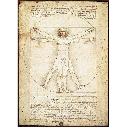 The Vitruvian Man 1000 Piece Jigsaw Puzzle Eurographics - for just $19.99! 