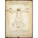 The Vitruvian Man 1000 Piece Jigsaw Puzzle Eurographics - for just $19.99! 