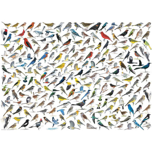 The World of Birds 1000 Piece Jigsaw Puzzle Eurographics - for just $21.99! 
