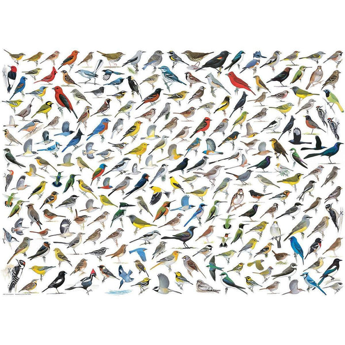 The World of Birds 1000 Piece Jigsaw Puzzle Eurographics - for just $21.99! 