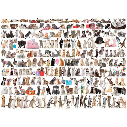 The World of Cats 1000 Piece Jigsaw Puzzle Eurographics - for just $19.99! 