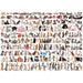 The World of Cats 1000 Piece Jigsaw Puzzle Eurographics - for just $19.99! 