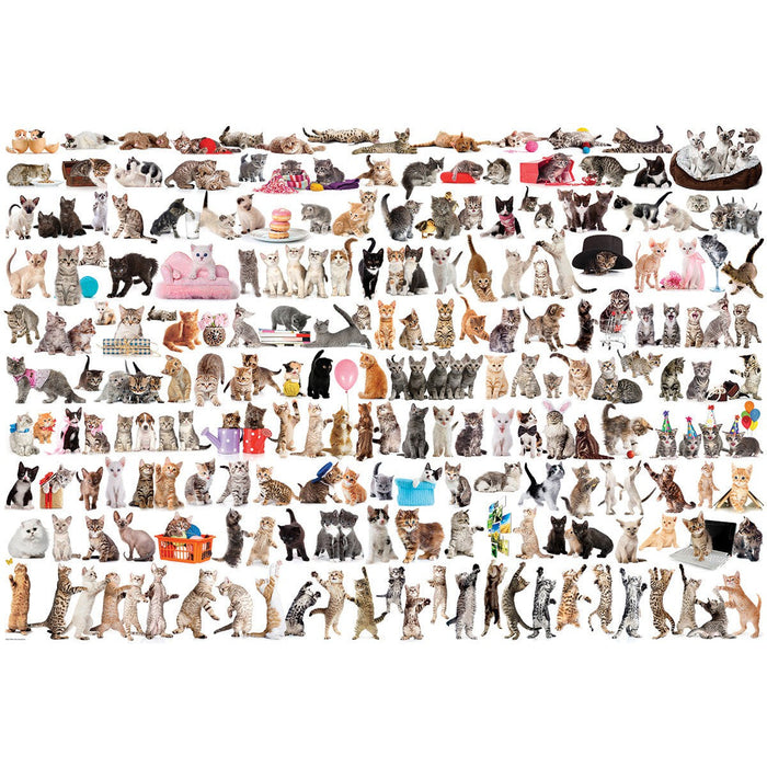 The World of Cats 2000 Piece Jigsaw Puzzle Eurographics - for just $29.99! 