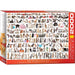 The World of Cats 2000 Piece Jigsaw Puzzle Eurographics - for just $29.99! 